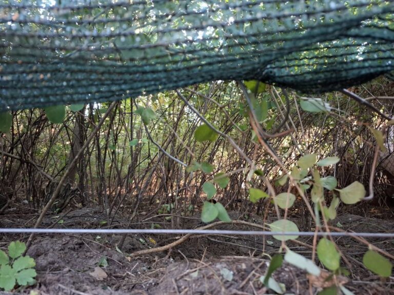 Dolna krawędź zielonej maty ogrodzeniowej nad poziomymi drutami i roślinnością.