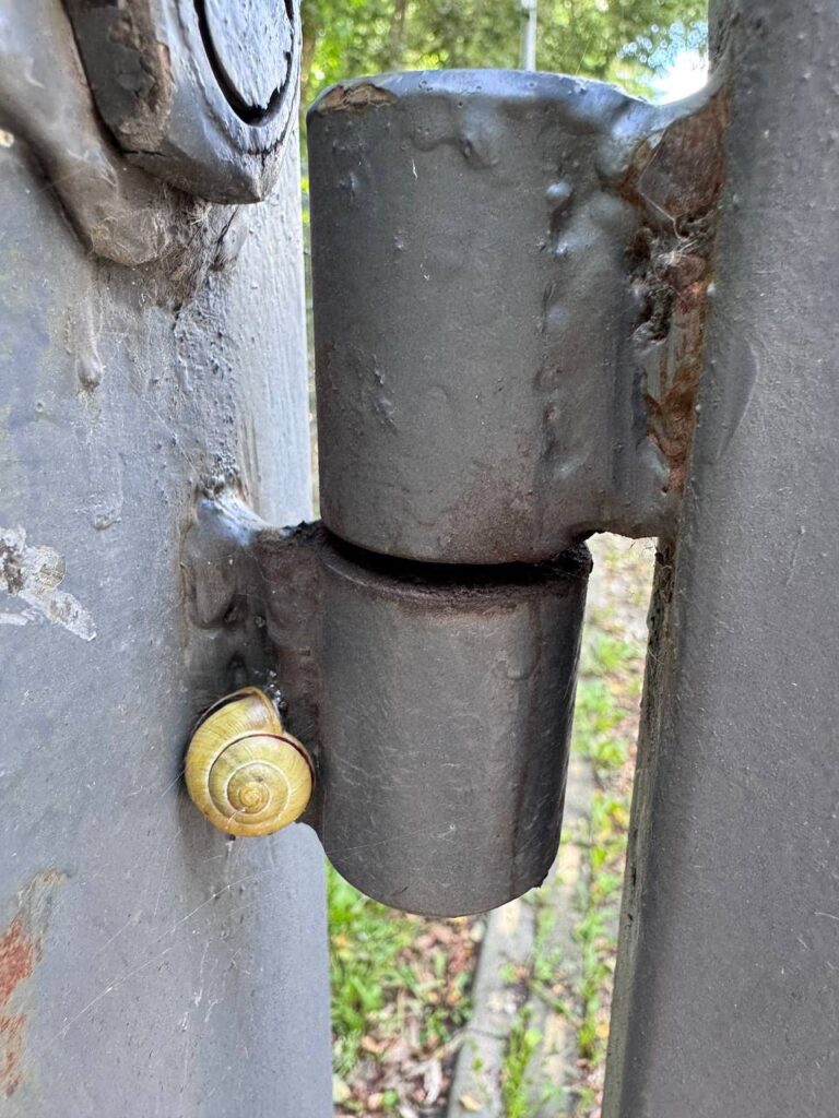 Kompleksowe zarządzanie techniczne luksusowymi rezydencjami