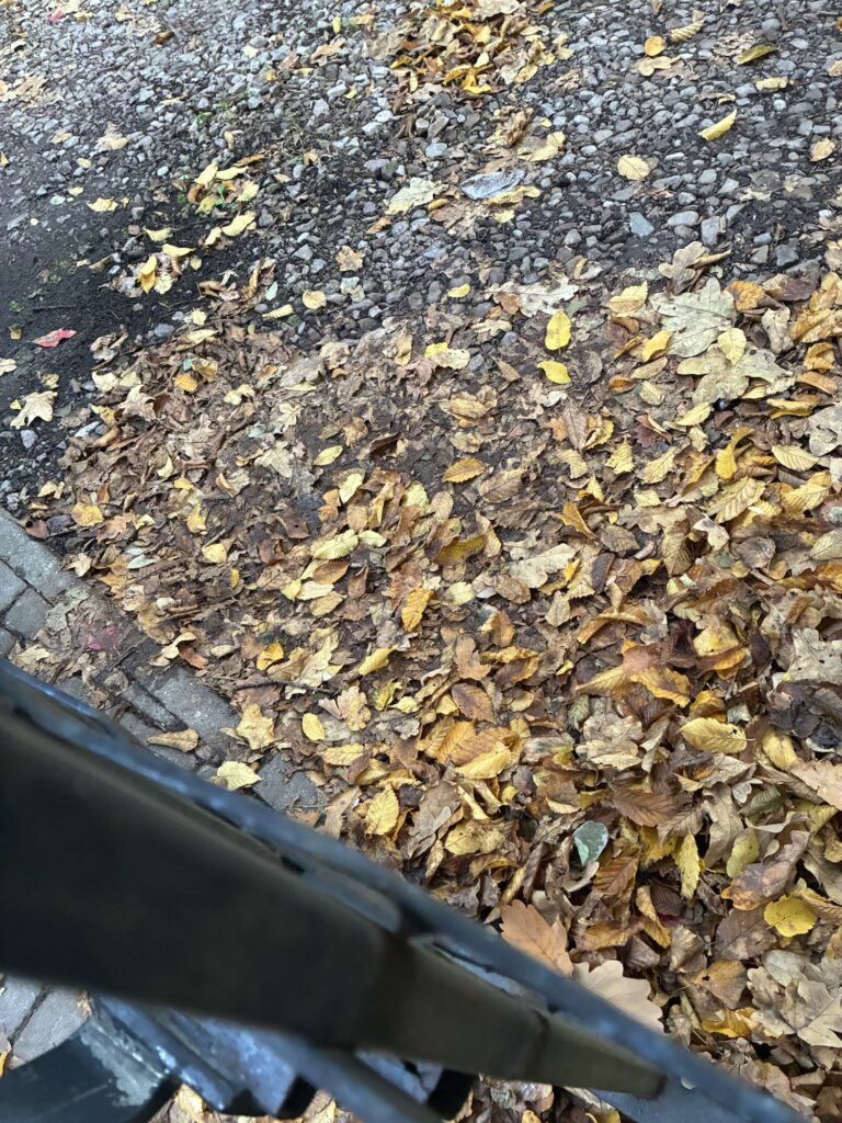 Spawanie bramy oraz naprawa elektryki, działmy bardzo szybko i dobrze z dojazdem do klienta, realizacja w 72h w stolicy.