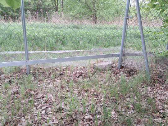 Zwykła siatka przeciwko dzikom – rozpoczęliśmy duży projekt zabezpieczenia terenu firmy, zamów mobilny serwis z Warszawy
